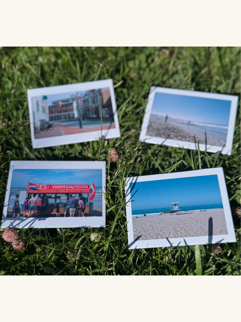 2.5" x 3.5" Custom Photo Magnets (Set of 6)